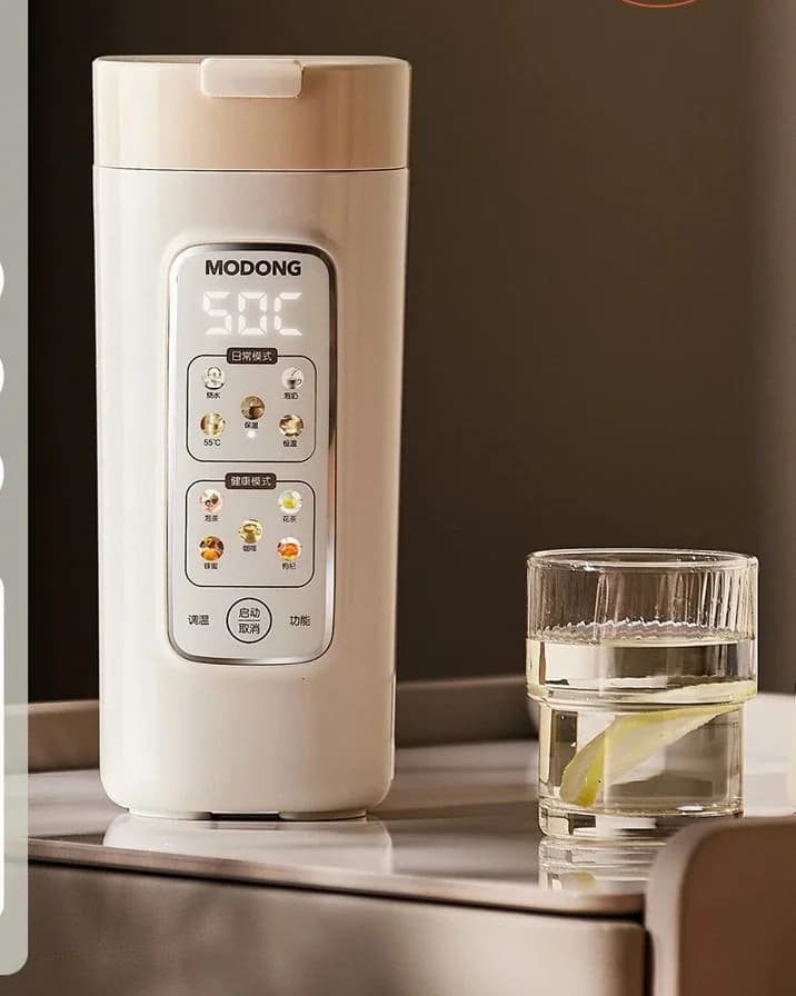 Bærbar elektrisk vannkoker-kopp med filter, 220V