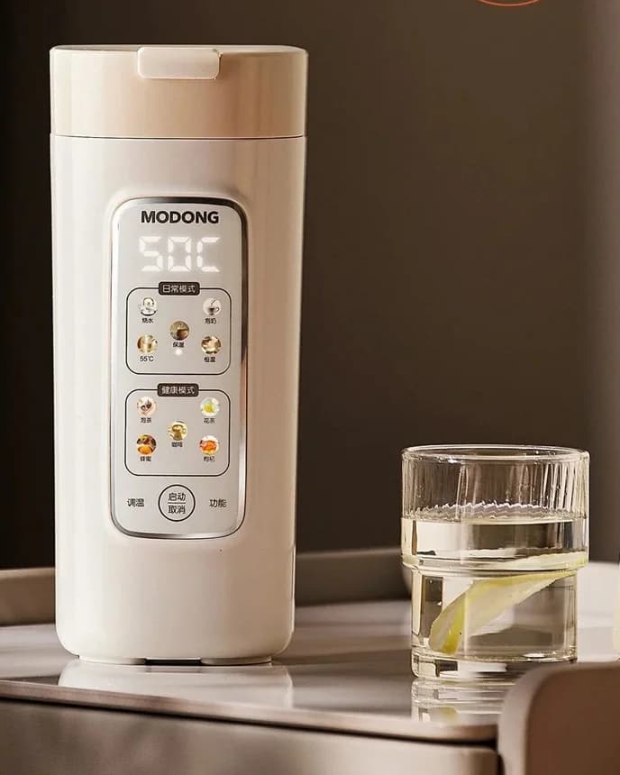 Bærbar elektrisk vannkoker-kopp med filter, 220V