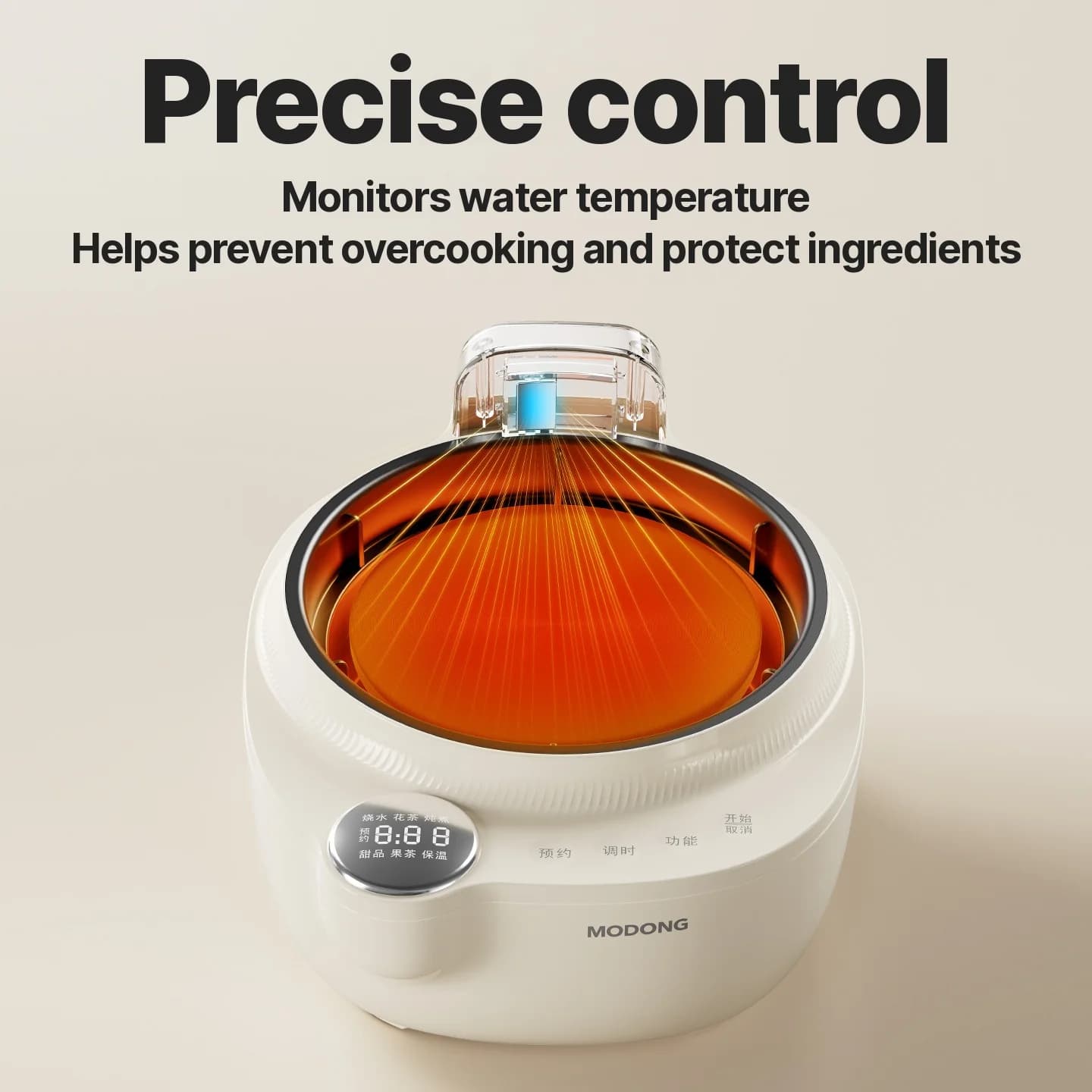 Elektrisk tekoker i glass med temperaturkontroll, 1L
